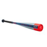 B21-PWR ALLOY - Big Barrel Youth USA Baseball Bat (-10)