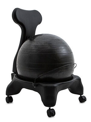 Fit Pro Ball Chair