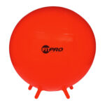 FitPro Ball with Stability Legs 75cm