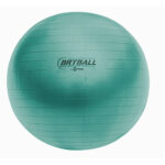 Fitpro 75cm BRT Exercise Ball