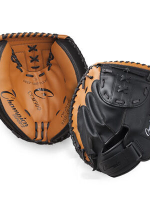 Catchers Mitt
