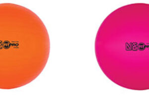 FitPro Training and Exercise Balls