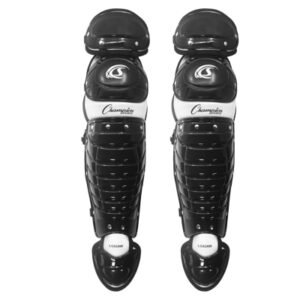Double Knee Leg Guards w/Wings Ages 12-16