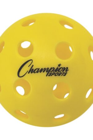 Outdoor Pickleball set of 6