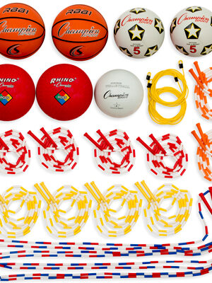 Variety Playground Set