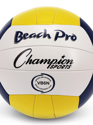 Champion Beach Volleyball