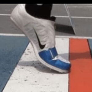 Eagle Eye Video Review Systems