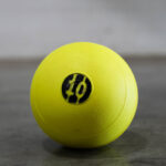 D-Balls 8in.